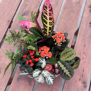 'The Fall Curated coffee table" - Autumnal indoor arrangement Saturday October 19th 10 am - 11:30 am