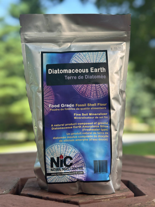 All Natural Pest control : observe the pest , its damage on the plants and lure it away