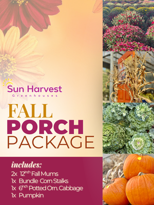 Fall Porch Package