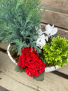 Winter Fresh - Indoor arrangement  'Winter Botanicals' Collection