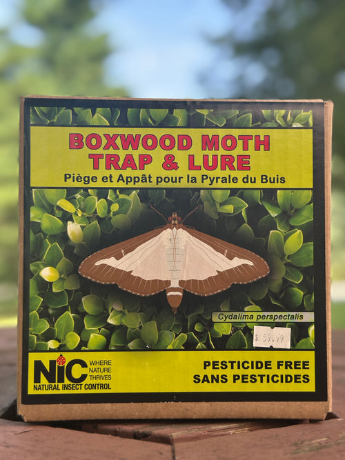 Boxwood Moth Trap & Lure