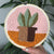 'Punchy Plants' - Punch Needle workshop featuring Sarah from 'Tastefully Tufted'  Saturday March 2nd 1 pm - 4pm