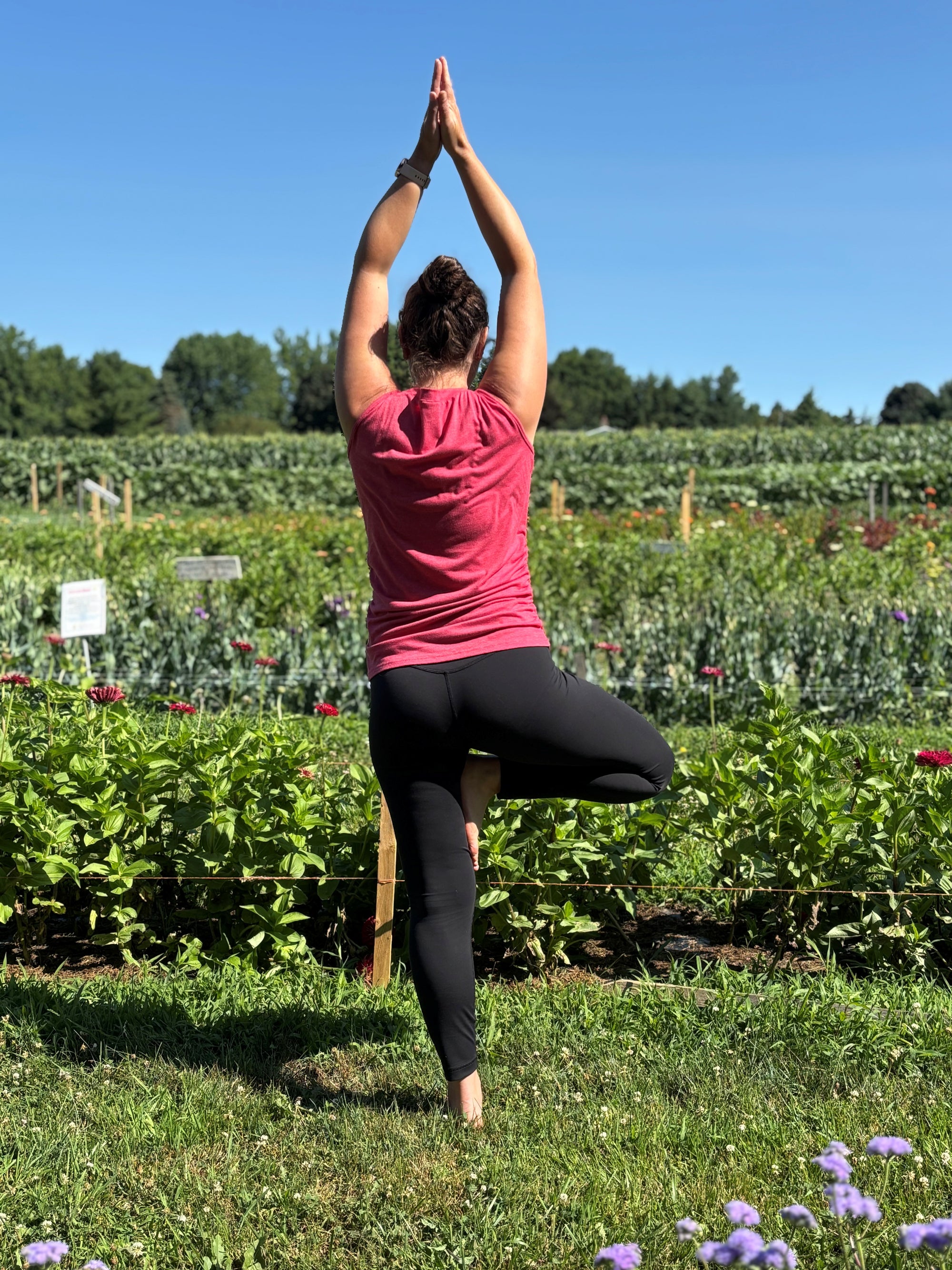 Yoga in the  FLOWER FIELDS Wednesday evenings for the month of August!