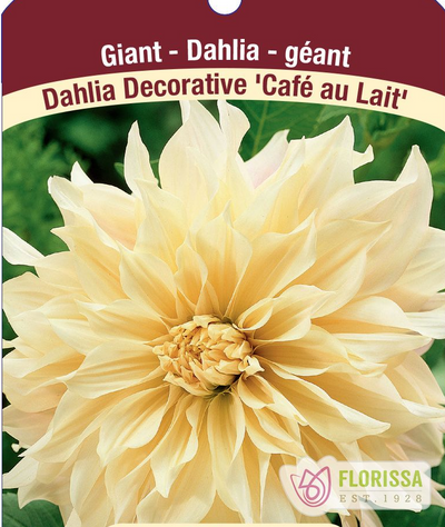 Dahlia Tubers  FOR PREBOOK!