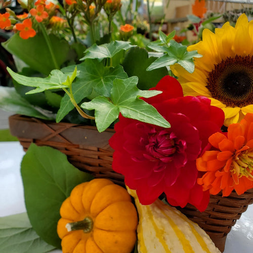 'Fall for  Florals' Thanksgiving Centrepiece Workshop    Thursday October 5th  5:30-7pm