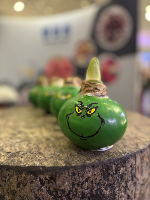 'The Grinch' waxed amaryllis