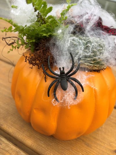 'Plant a Pumpkin ' KIDS WORKSHOP  Saturday October 4th 10 am - 11:30 am