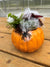 'Plant a Pumpkin ' KIDS WORKSHOP  Saturday October 4th 10 am - 11:30 am