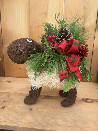 Rudolph meets Woolly Wonka - KIDS Drop In workshop  Sun Nov. 30th 10 am - 2 pm