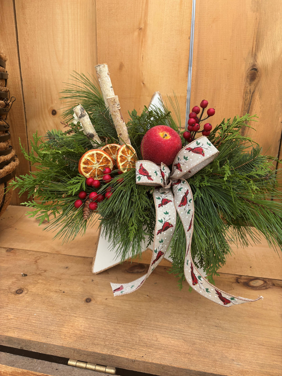 Starry Welcome  NEW!!    Sunday November 23rd 10 am - 11:30