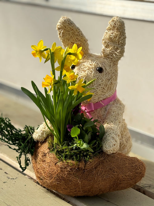 Peter Rabbit planter Kids  Workshop -- Good Friday March 29th 1:30- 2:30 pm