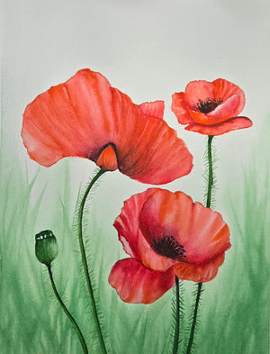 Explore the Art of the Poppy with Professional Artist Alice Melo..... Saturday October 24th 9:30 am - 12 noon