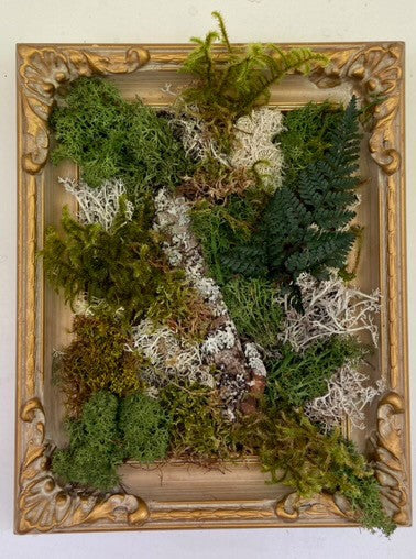 Preserved Moss Art Workshop - Presented by Miss Moss Hartington Sat. March 1st  1:30 apm