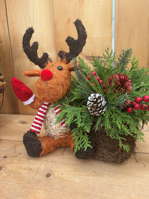 Rudolph meets Woolly Wonka - KIDS Drop In workshop  Sun Nov. 30th 10 am - 2 pm