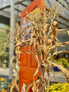 Fall Porch Package