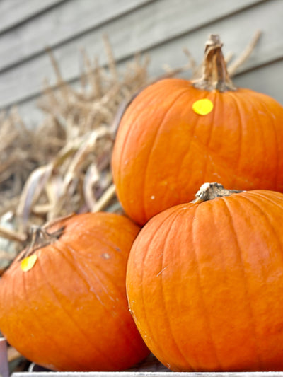Fall Porch Package