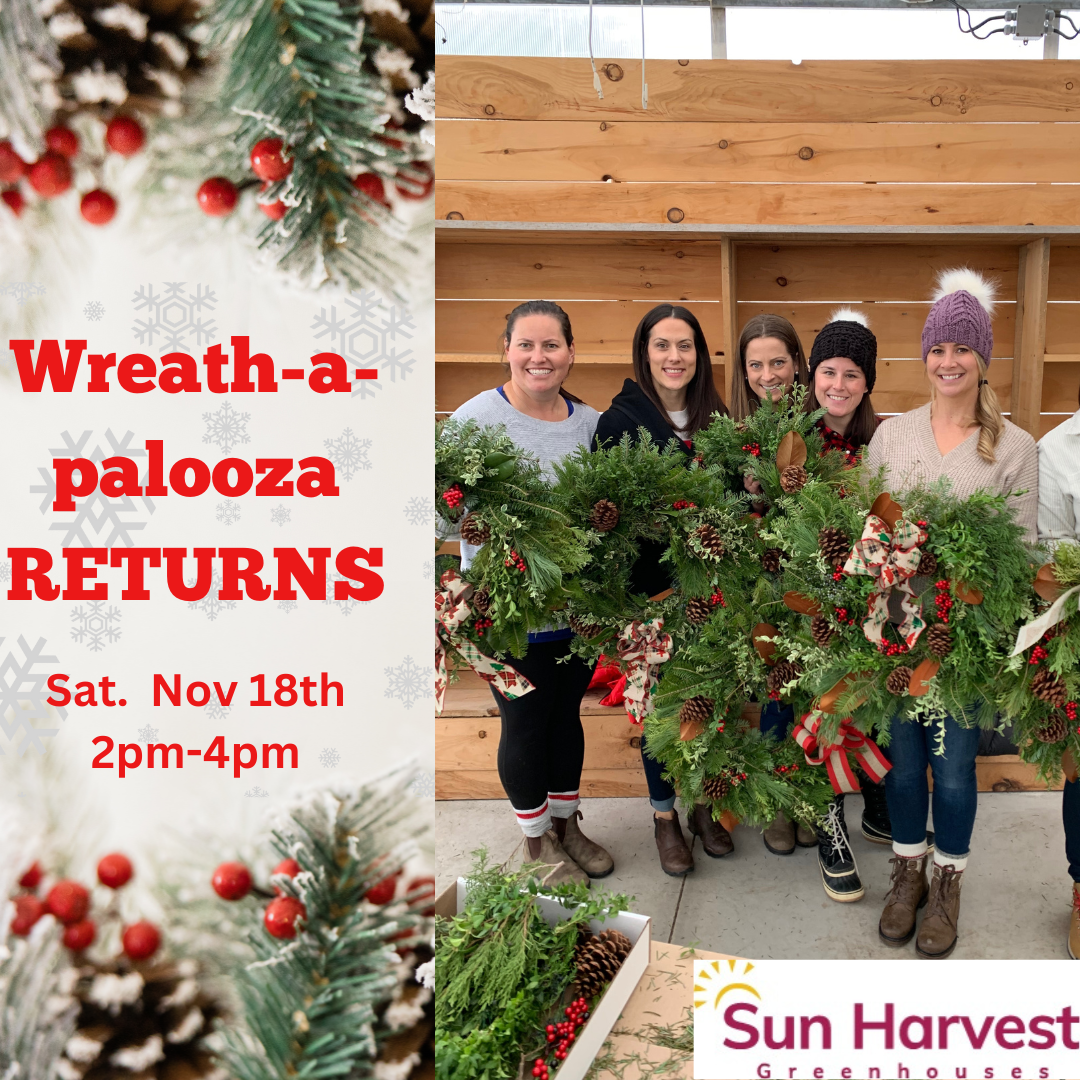 Wreath -a-palooza!  'Sun Harvest' Classic Wreath Workshop #2