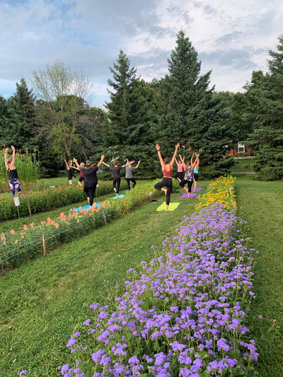Yoga in the  FLOWER FIELDS Wednesday evenings for the month of August!
