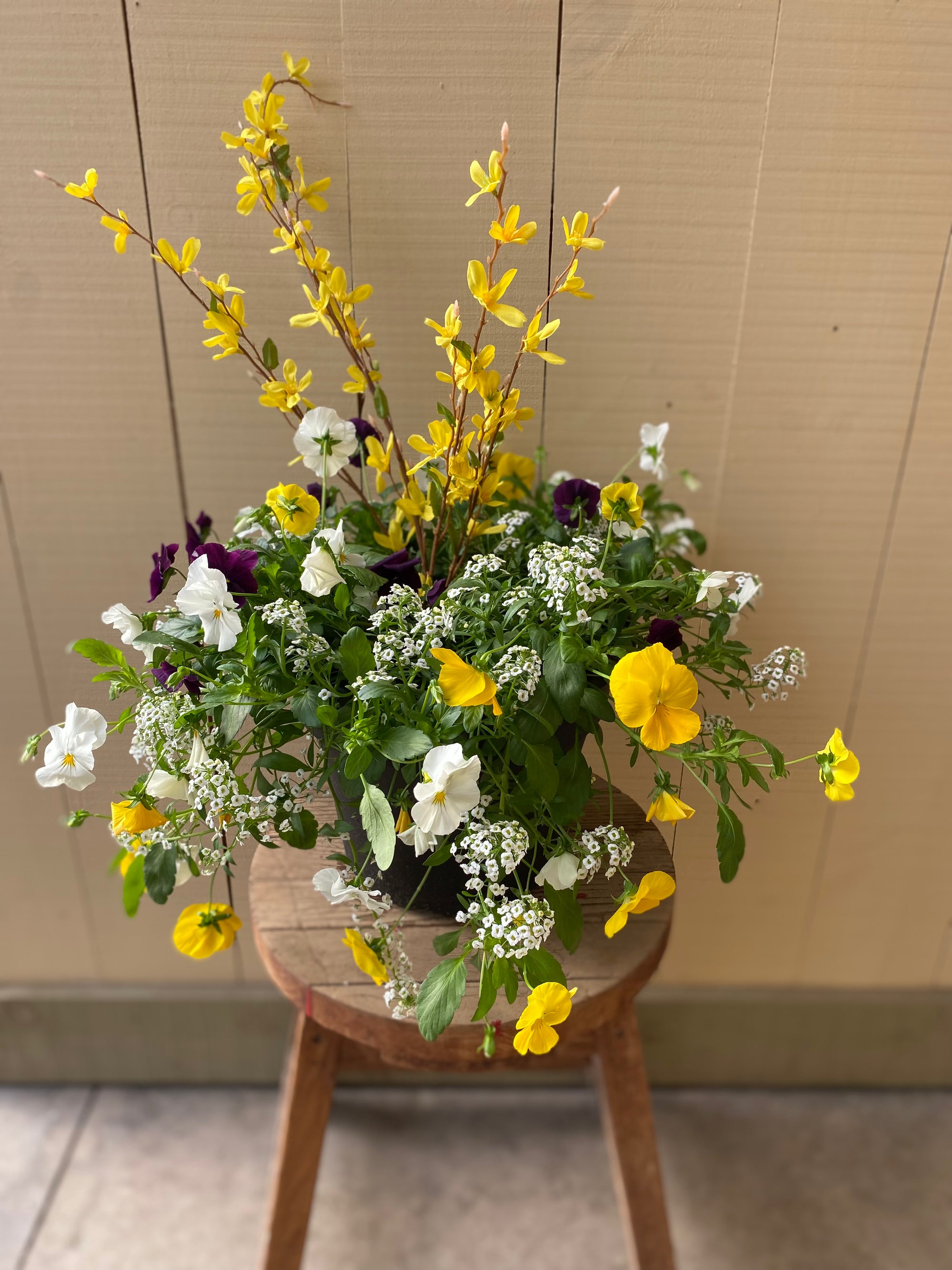 Sun Harvest Porch Pot Membership