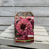 Dahlia Tubers  FOR PREBOOK!