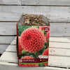 Dahlia Tubers  FOR PREBOOK!