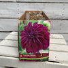 Dahlia Tubers  FOR PREBOOK!