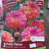 Dahlia Tubers  FOR PREBOOK!