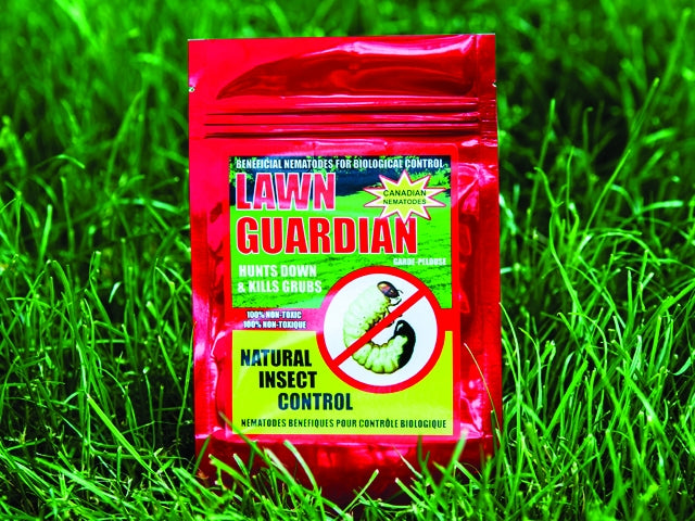 Lawn Guardian 10 M - Nematodes- Get ahead of Japanese beetles in the garden for next season
