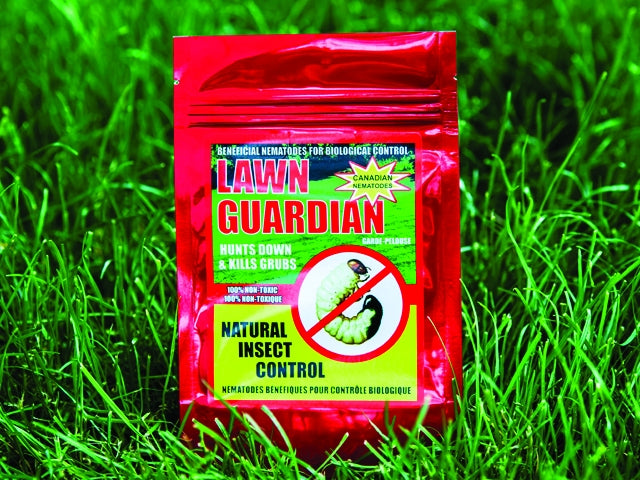 Lawn Guardian 10 M - Nematodes- for control of lawn grubs